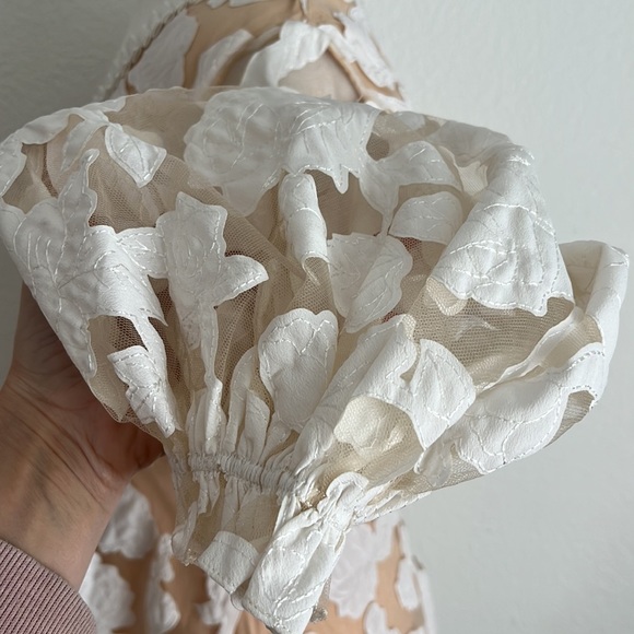 Anthropologie Rare Geisha Designs Loren Appliqued Tulle Mini Dress - Picture 5 of 10